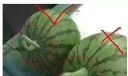 QQ上免费的吃瓜群有什么坏处,揭秘免费吃瓜群背后的潜在风险与弊端