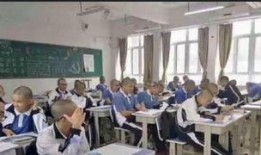 思北学校爆料案件最新,揭开校园安全背后的真相